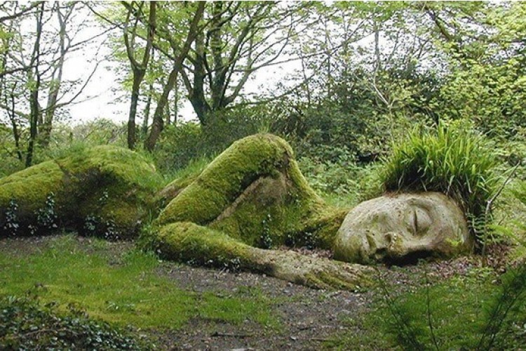 The Lost Gardens of Heligan