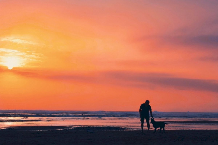 Dog-friendly beaches to enjoy in Cornwall