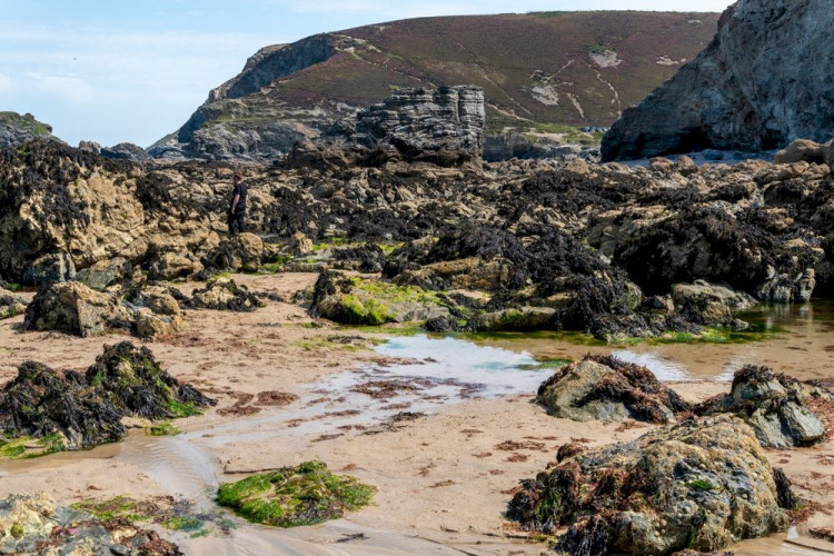 Where are the best rock pools in Cornwall?