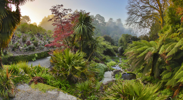 Trebah Garden Break