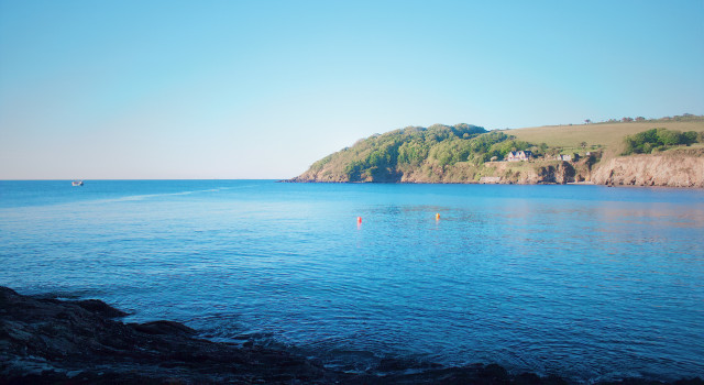 Proper Cornish Summer