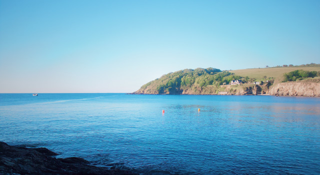 Proper Cornish Summer